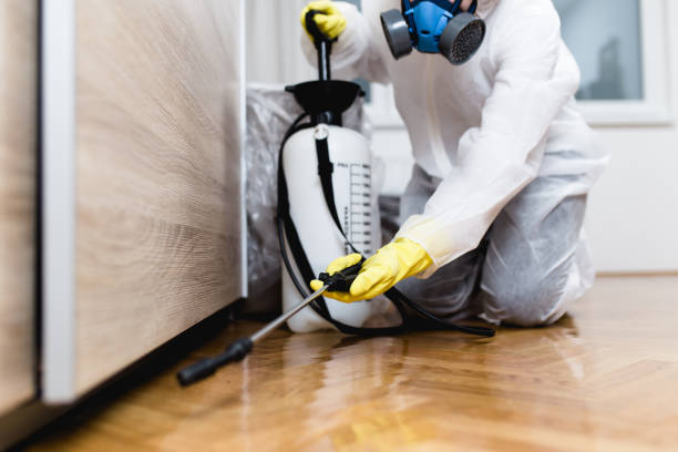 Best Pest Control Treatment  in Encinitas, CA