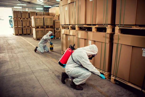 Best Rat Extermination Near Me  in Encinitas, CA