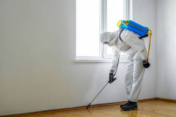 Trusted Encinitas, CA Pest Control Experts