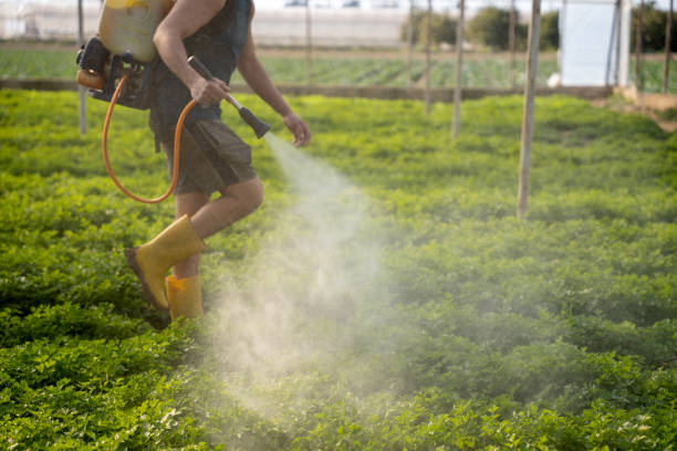 Best Mosquito Control Services  in Encinitas, CA