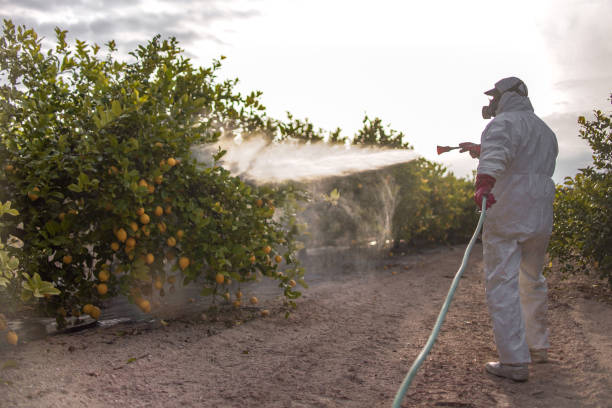 Best Exterminator Services  in Encinitas, CA