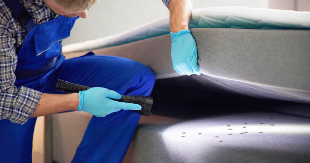 Best Flea Control Services  in Encinitas, CA