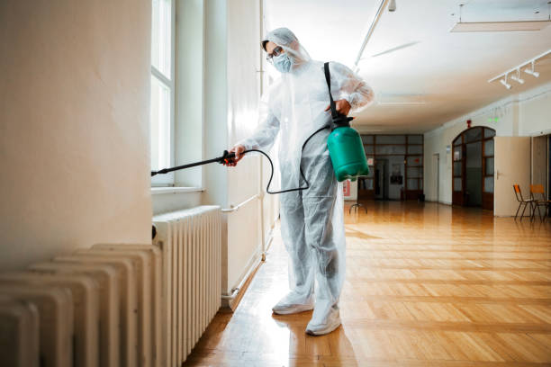 Flea Control Services in Encinitas, CA